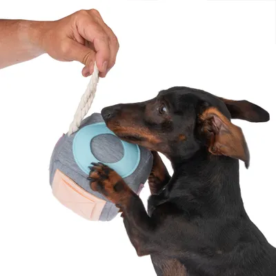 Chien tenant une balle en tissu avec poignée en corde, attrapée par une main humaine. Jouet pour chien visible en utilisation.