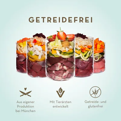 Terra Canis sans céréales 6 x 400 g pour chien