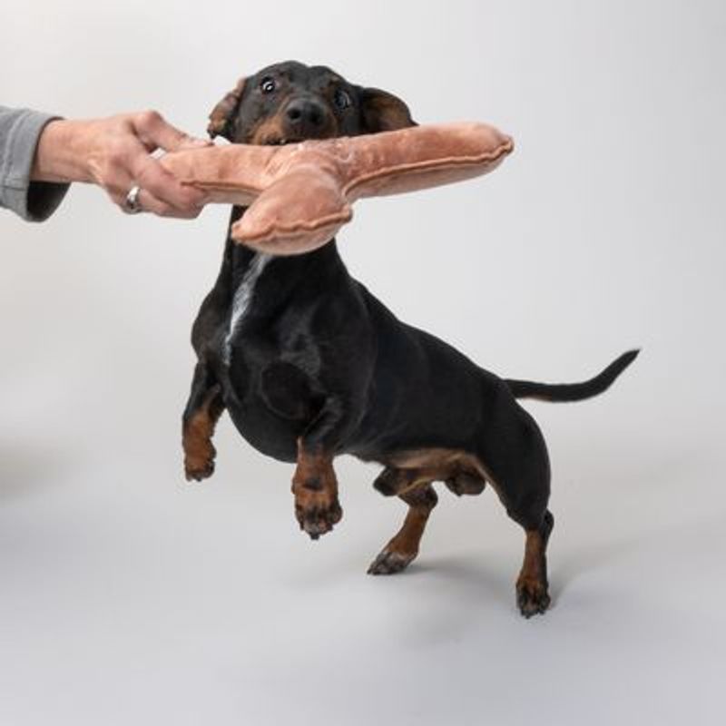 Gioco per cani Nomad Tales Blush Boomerang di peluche
