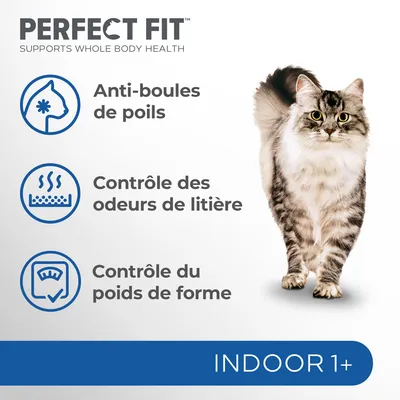 PERFECT FIT Anti-boules de poils, Contrôle des odeurs de litière, Contrôle du poids de forme, INDOOR 1+ visibles avec un chat à poils longs. Texte en anglais : Supports whole body health.