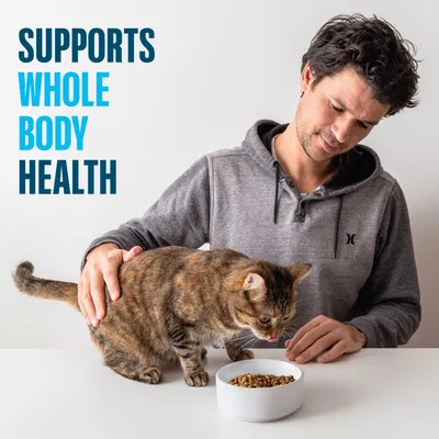 Man strokes cat eating from a bowl. Text in image: Supports whole body health. Man strokes cat eating from a bowl. Text in image: Supports whole body health.