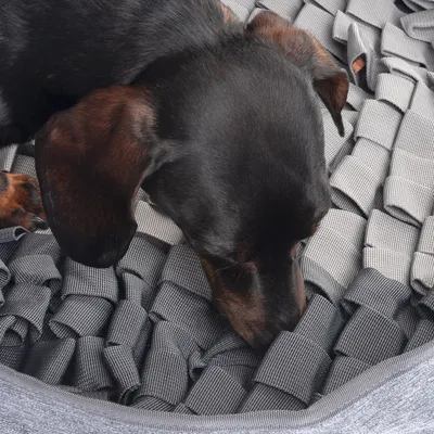 Hund snuser på grå snusemåtte af stofstrimler, egnet til søgelege og aktivering.