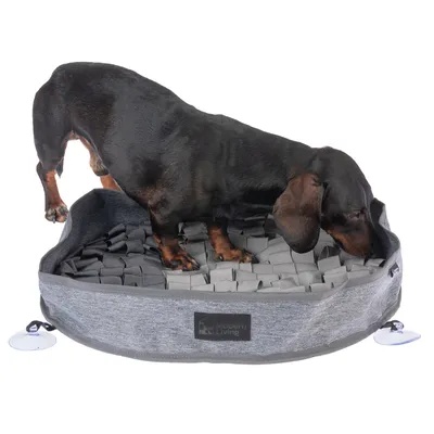 Mørk gravhund undersøger en grå snusemåtte med elastiske bånd og sugekopper. Logoet 'Modern Living' synligt på siden af måtten.
