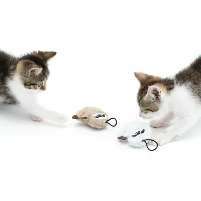 Due gattini giocano con due giocattoli di peluche a forma di topo, beige e bianco, con anelli. Adatti per il gioco interattivo.