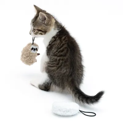 Gattino che gioca con un peluche a forma di bradipo, accanto un altro peluche bianco con anello elastico.