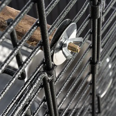 Close-up of a cage grid with metal wing nut and wooden perch, attached for stability and functionality.