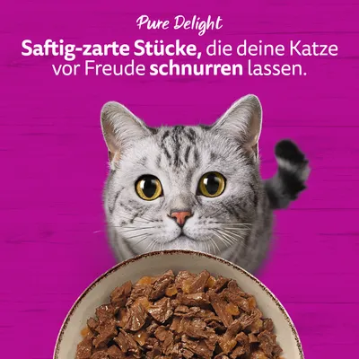 Megapack Whiskas 1+ Marmiton 144 x 85 g pour chat Megapack Whiskas 1+ Marmiton 144 x 85 g pour chat