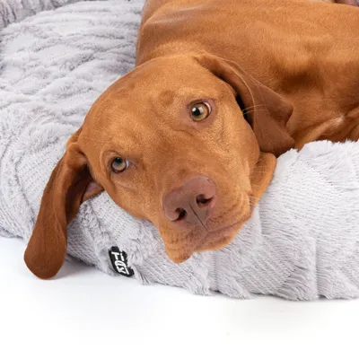 Hund liegt auf einem grauen, flauschigen Haustierbett mit gestricktem Design.