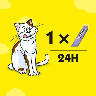 Indicação de alimentação: 1 unidade Creamy por cada 24 horas, ilustrado com um gato e uma saqueta Creamy. Texto visível: 'Creamy', '1 ×', '24H'.