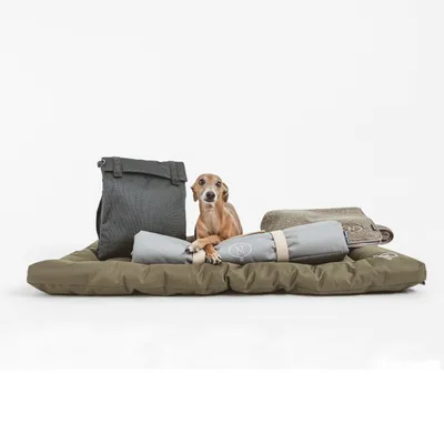 Hund auf olivgrünem Hundebett mit grauer Tasche, zusammengerollter Decke und Handtuch. Produkte für Haustierkomfort sichtbar.