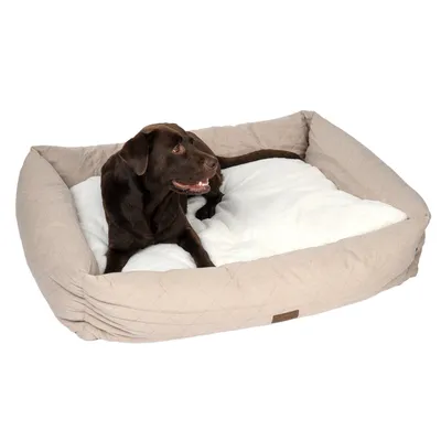 Hund liegt in einem beigen, gesteppten Hundebett mit weisser Polsterung.