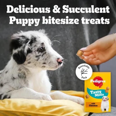 Pedigree Tasty Minis - Puppy - Chicken (125g)