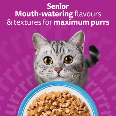 Whiskas 11+ Senior Pouches in Jelly - Saver Pack: Fish Favourites in Jelly (96 x 85g)