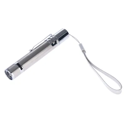 Silver-coloured laser pointer with clip and wrist strap, suitable for interactive play.