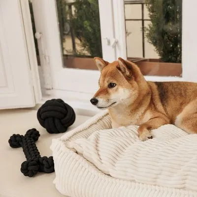 Modern Living Papua въжен кокал