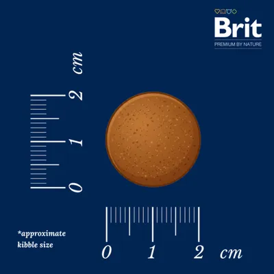 Brit Premium by Nature Senior L/XL