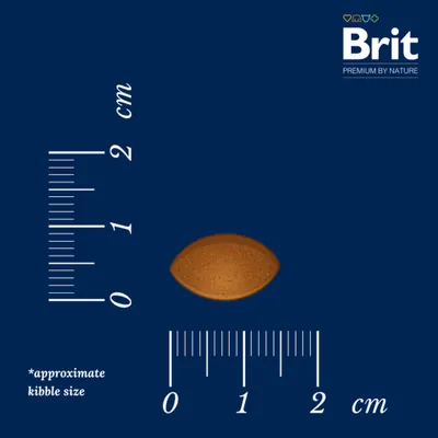 Brit Premium by Nature Sport
