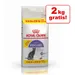 10 + 2 kg gratis! 12 kg Royal Canin kattefoder