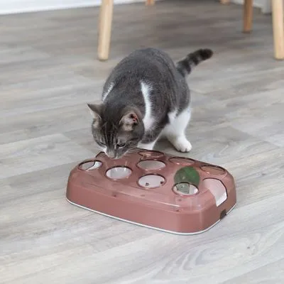 Kat bij interactief voerspel met meerdere ronde openingen, roze kunststof behuizing op houten vloer. Geen merknaam zichtbaar.