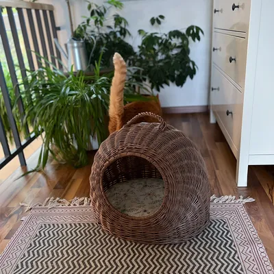 Punottu kissanpeti, jossa pyöreä sisäänkäynti ja kantokahva päällä. Taustalla näkyy kissan häntä sekä viherkasveja ja matto.