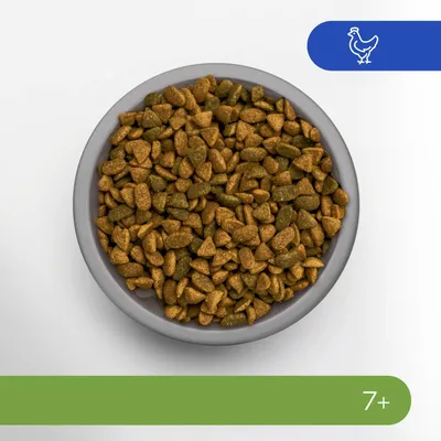 Trockenfutter in einer grauen Schale, geeignet für Katzen ab 7 Jahren. Symbol eines Huhns oben rechts zeigt Geschmacksrichtung Huhn.