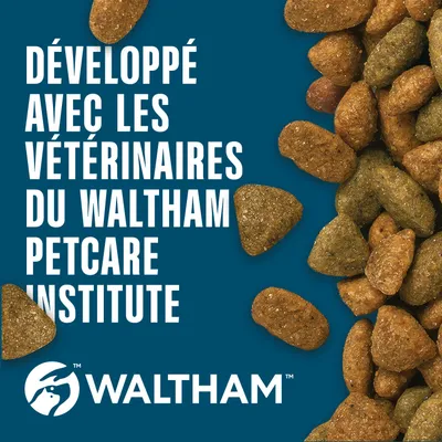 Développé avec des vétérinaires de l’Institut Waltham Petcare. La marque WALTHAM et les croquettes sont visibles. Développé avec des vétérinaires de l’Institut Waltham Petcare. La marque WALTHAM et les croquettes sont visibles.