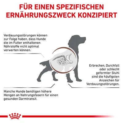 Grafik eines Hundes mit Verdauungssystem. Text: Für einen spezifischen Ernährungszweck konzipiert. Hinweise zu Verdauungsstörungen und Bedarf an Nahrungsfasern für gesunden Darmtransit.
