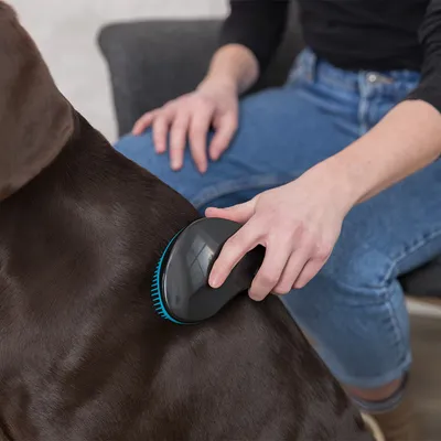 En hand håller en svart borste med blå borst och borstar pälsen på en brun hund. Visar användning av vårdprodukten.