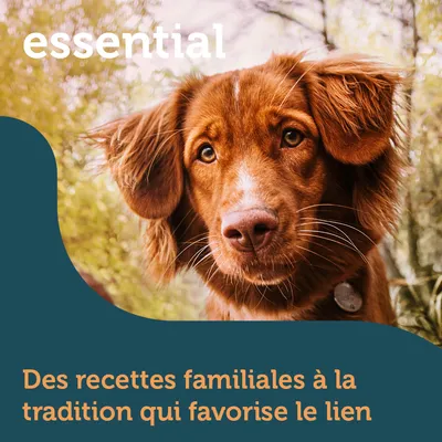essential. Des recettes familiales à la tradition qui favorise le lien
