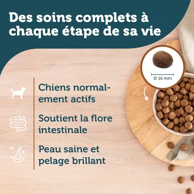 Des soins complets à chaque étape de sa vie. Chiens normalement actifs, soutient la flore intestinale, peau saine et pelage brillant. Croquette diamètre 16 mm.