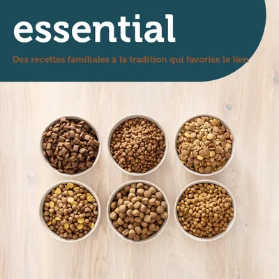 essential. Des recettes familiales à la tradition qui favorise le lien. Six bols de croquettes pour animaux présentés sur une table en bois clair.