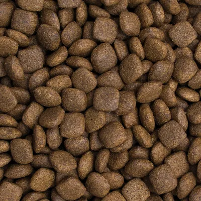 Primer plano de croquetas marrones y cuadradas de pienso seco. Muestra la textura y la forma del alimento.