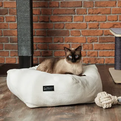 Cama para gatos Modern Living en blanco, con un gato siamés encima. Al fondo se ven un árbol rascador y un juguete de cuerda.