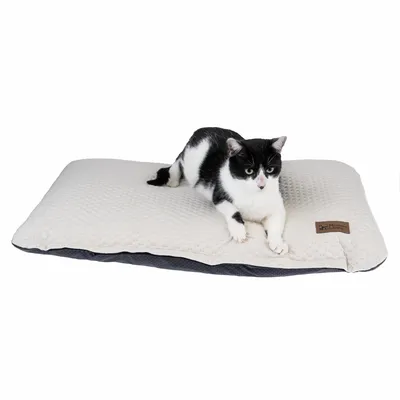 Schwarz-weisse Katze liegt auf einem beigen Haustierkissen mit Markenetikett 'Modern Living'.