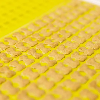 Flere små hundekiks i form af ben på en gul bageform, arrangeret i rækker. Kiksene er lysebrune og ensartede i størrelse og form.