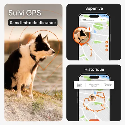 Suivi GPS sans limite de distance, localisation superlive et historique des trajets avec indications : distance 10,5 km, vitesse moyenne 3,2 km/h, vitesse maximale 8,2 km/h. Suivi GPS sans limite de distance, localisation superlive et historique des trajets avec indications : distance 10,5 km, vitesse moyenne 3,2 km/h, vitesse maximale 8,2 km/h.