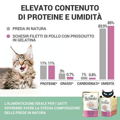 Grafico a barre: confronto tra preda in natura e Schesir filetti di pollo con prosciutto in gelatina per proteine 11%, grassi 3% vs 0,7%, carboidrati 1% vs 0,8%, umidità 83,5% vs 85%.