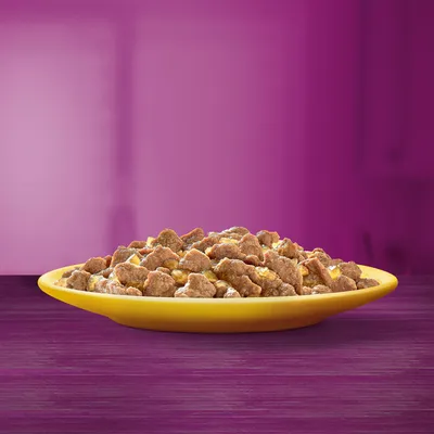 Bowl of brown wet pet food chunks in gravy on a yellow plate, shown against a purple background. No visible brand or text.