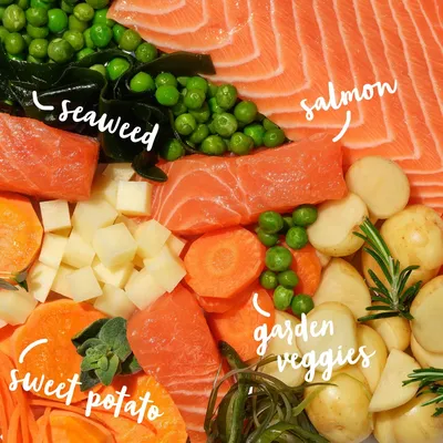 Image showing key ingredients: salmon, seaweed, sweet potato, garden vegetables and peas, each labelled to highlight the product’s main components.