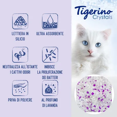 Tigerino Crystals lettiera in silicio, ultra assorbente, neutralizza i cattivi odori, inibisce la proliferazione dei batteri, priva di polvere, al profumo di lavanda.