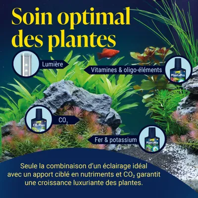 Soin optimal des plantes : lumière, CO2, vitamine et oligo-éléments, fer et potassium. Seule la combinaison d’un éclairage idéal, de nutriments et de CO2 favorise une croissance luxuriante des plantes.