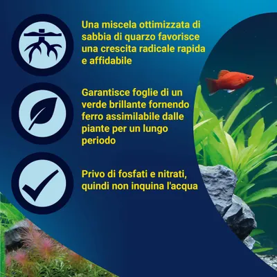 Miscela di sabbia di quarzo ottimizzata favorisce una rapida formazione delle radici, garantisce foglie verdi grazie al ferro, priva di fosfati e nitrati, non appesantisce l'acqua. Miscela di sabbia di quarzo ottimizzata favorisce una rapida formazione delle radici, garantisce foglie verdi grazie al ferro, priva di fosfati e nitrati, non appesantisce l'acqua.