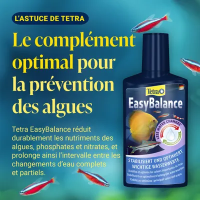 Tetra EasyBalance : complément pour la prévention des algues, réduit les nutriments, les phosphates et les nitrates, prolonge l’intervalle entre les changements d’eau. Stabilisateur pour les paramètres essentiels de l’eau. Tetra EasyBalance : complément pour la prévention des algues, réduit les nutriments, les phosphates et les nitrates, prolonge l’intervalle entre les changements d’eau. Stabilisateur pour les paramètres essentiels de l’eau.