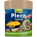 Tetra Pleco Tablets Feed Tablets