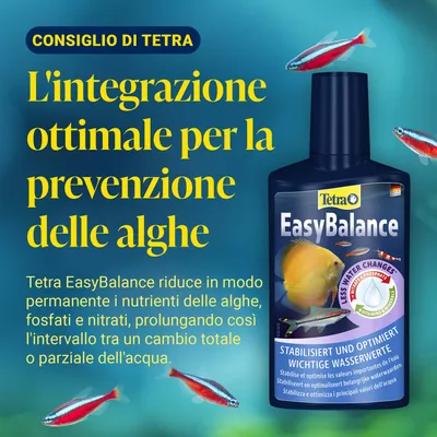 Tetra EasyBalance stabilizza e ottimizza i valori fondamentali dell'acqua, riduce in modo permanente i nutrienti delle alghe, prolunga l'intervallo tra i cambi d'acqua. Tetra EasyBalance stabilizza e ottimizza i valori fondamentali dell'acqua, riduce in modo permanente i nutrienti delle alghe, prolunga l'intervallo tra i cambi d'acqua.
