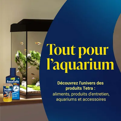 Tetra AquaSafe et TetraMin Flakes à côté de l’aquarium. Texte : Tout pour l’aquarium. Découvrez l’univers des produits Tetra : aliments, produits d’entretien, aquariums et accessoires. Tetra AquaSafe et TetraMin Flakes à côté de l’aquarium. Texte : Tout pour l’aquarium. Découvrez l’univers des produits Tetra : aliments, produits d’entretien, aquariums et accessoires.
