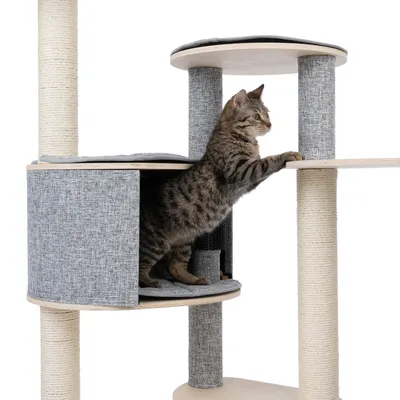 Arbre à chat avec poteaux en sisal, plateformes et niche grise, un chat tigré debout sur une plateforme. Matériaux visibles : tissu, bois, sisal.