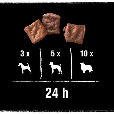 Tabla de raciones diarias: perro pequeño 3 unidades, mediano 5 unidades, grande 10 unidades en 24 h. Tres trozos de alimento visibles arriba.