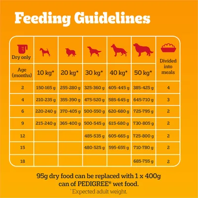 Feeding guidelines table showing dry food amounts by age in months and expected adult weight from 10kg to 50kg, with meals per day and note on replacing 95g dry food with 400g wet food.