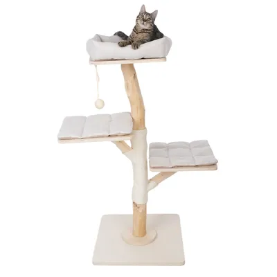Kratzbaum aus Holz mit drei gepolsterten Ebenen, Spielball und Liegefläche. Katze liegt auf oberster Ebene.